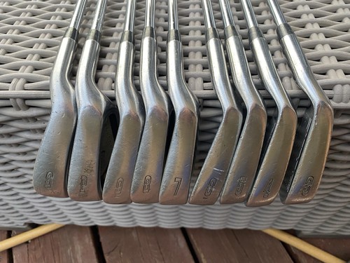 Progeny rogue iron set pw - progeny,